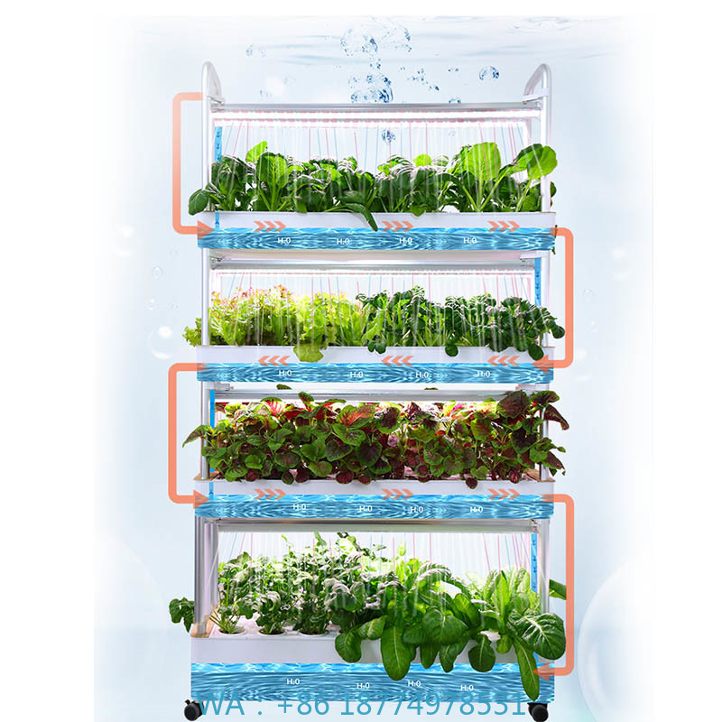 Diy Automation - Sistema de plantación ydroponic Sistema de