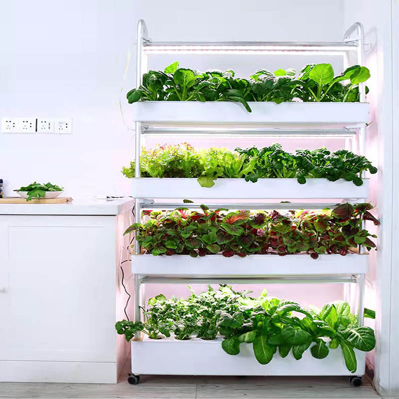Sistema de plantación ydroponi - Diy Automation reseña y precio