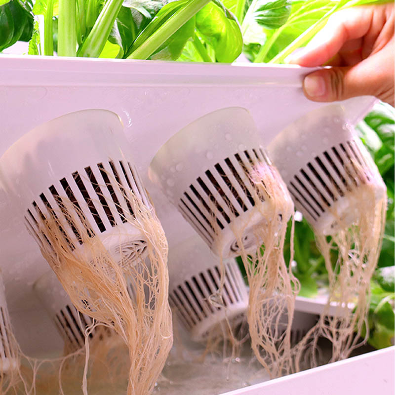 Sistema de plantación ydroponi - Diy Automation reseña y precio