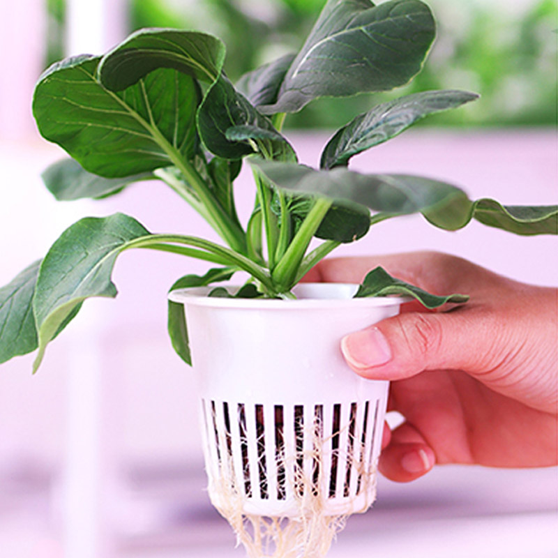 Sistema de plantación ydroponi - Diy Automation reseña y precio